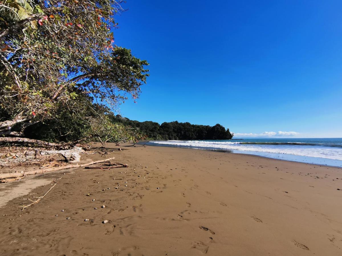 Elan At Ballena Beach Uvita Luaran gambar